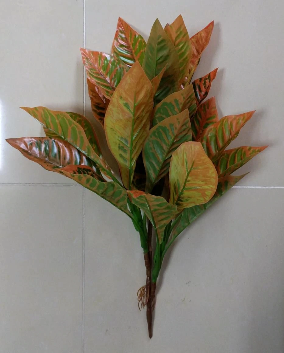 Garden Croton Tree 160cm 221